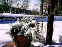 Dopo la neve